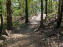 <p>Three Hills new trail January 2015</p>