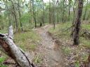 <p>Three Hills Hill One after 230+mm of rain</p>