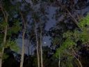 <p>Nerang as the evening comes on</p>