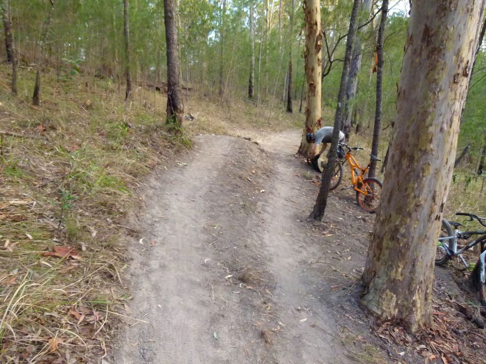 Climbing and descending lines