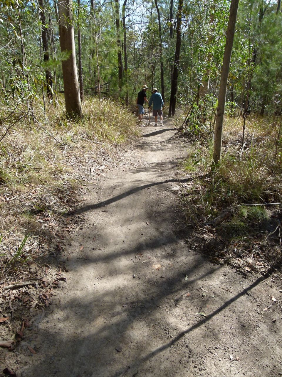 Straight trail drains badly.  Reverse grade dips stop water flowing along it