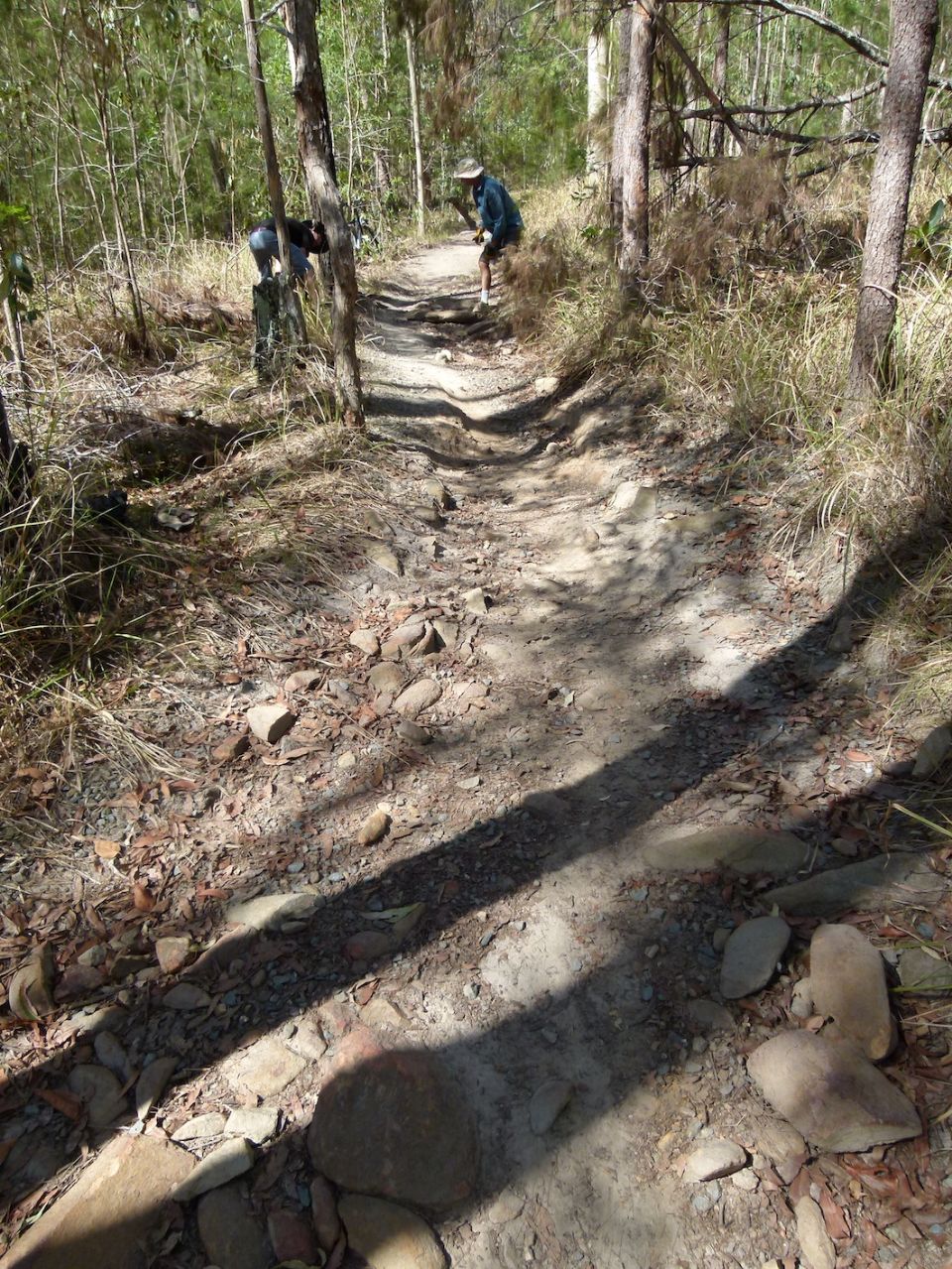 Not a beginner riding line