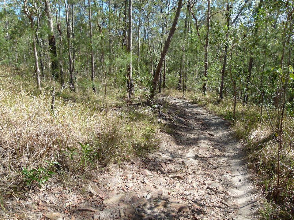 Trail gradient reduces as you go, but water remains on the trail
