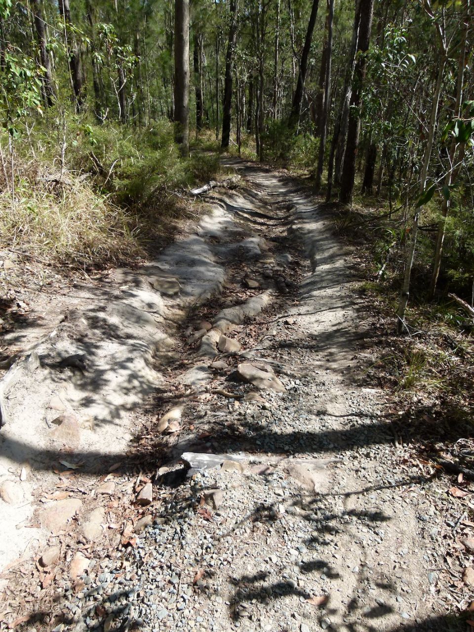 Once was a trail - or so they thought