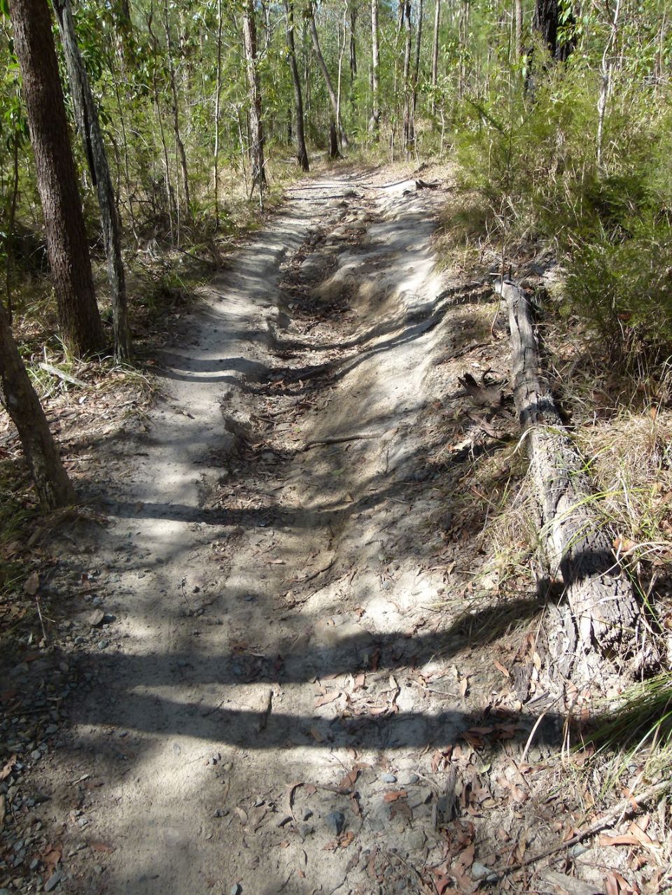 This deep rut is not safe on green trail