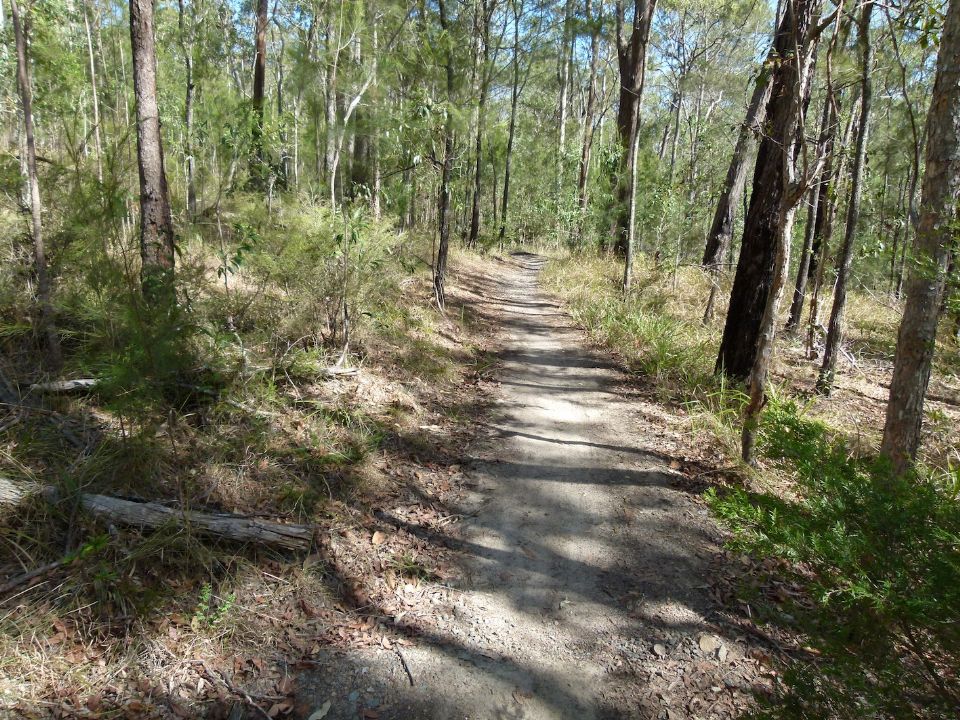 Below all this erosion is good contour trail