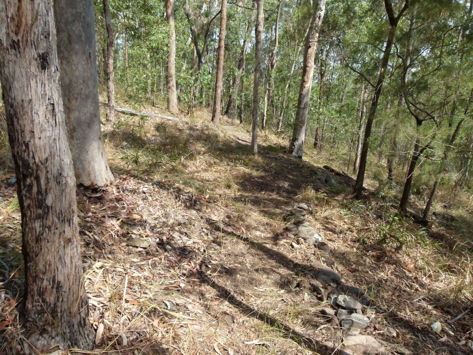 The line downslope of the skinny tree looks good, but isn't