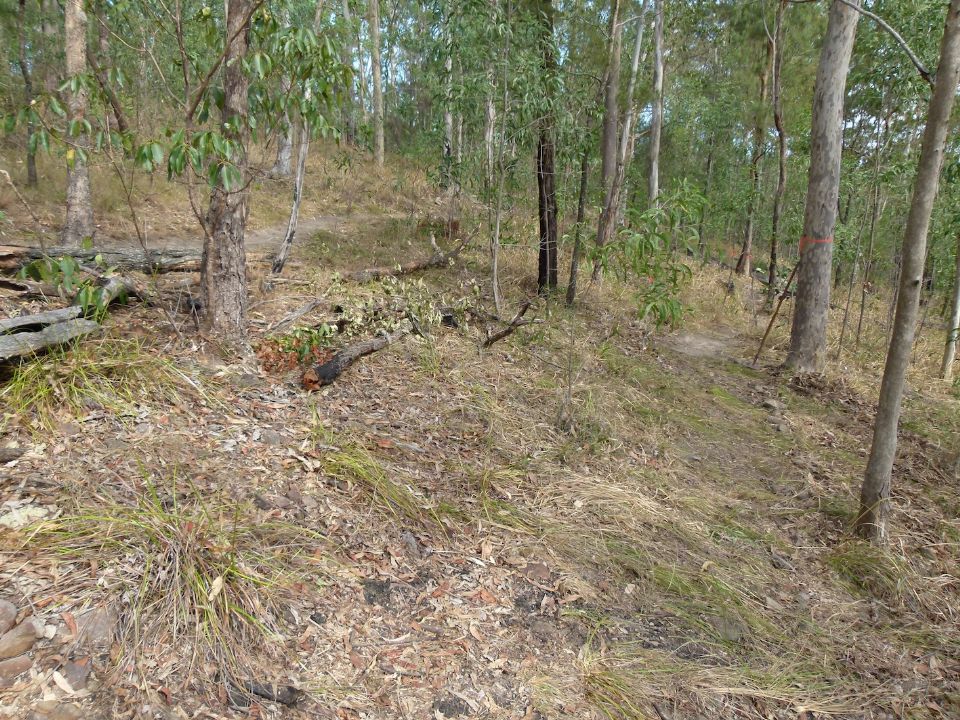Below the upper switchback on Pete's lower trail!