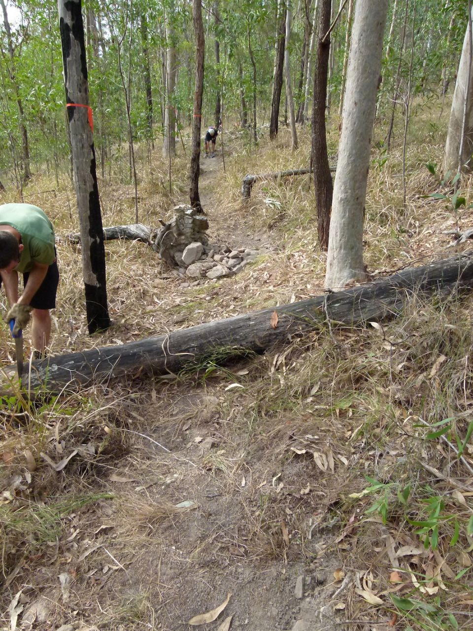 Trail starting to appear