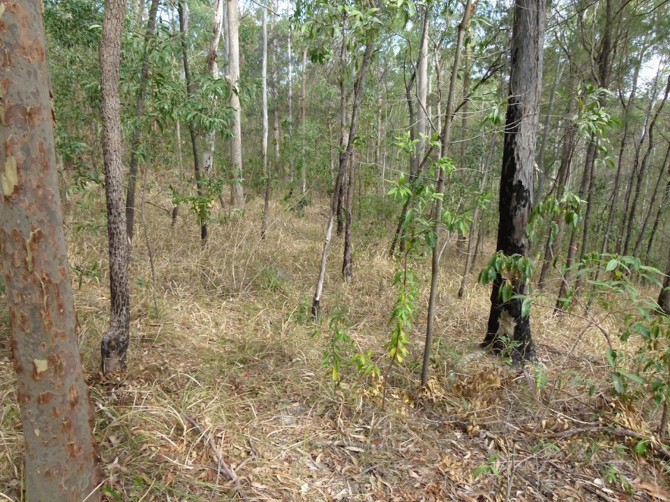 A steeper section coming