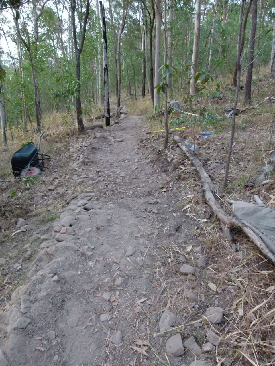 Preliminary trail