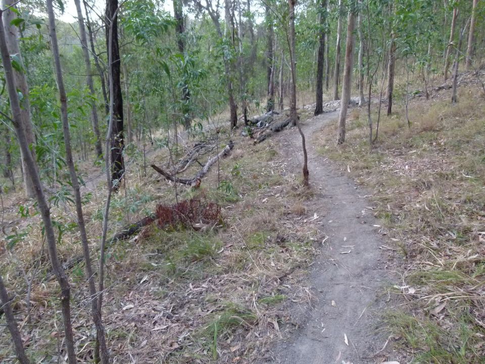 Basic trail line