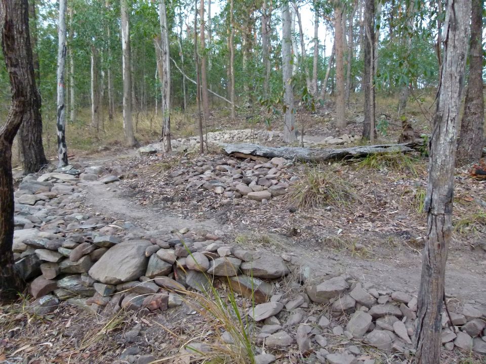 Looking uphill before the tree was cut