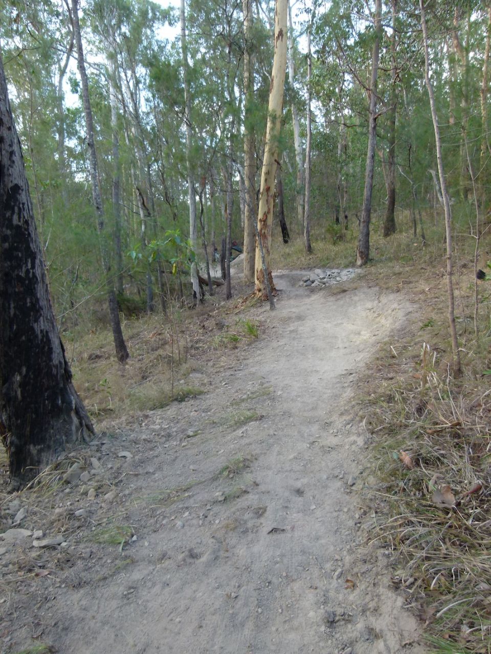 P1090261.jpg