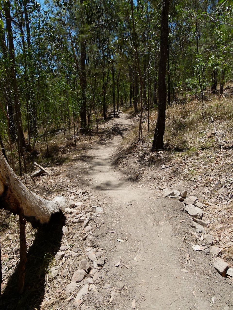 Now we have some trail and there's more to be done here yet
