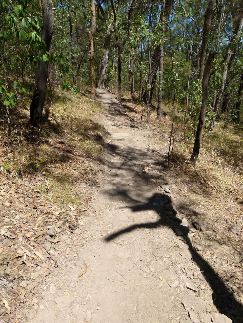 Good trail climbing or descending - it's flat here