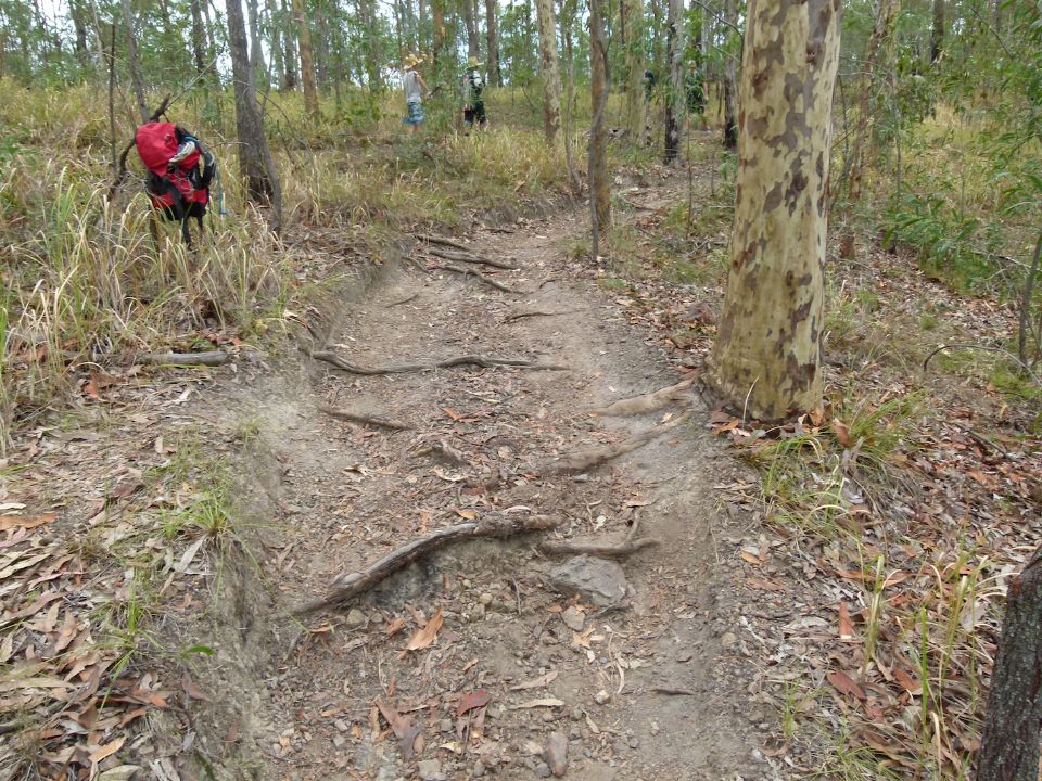 Widened falline trail.  This is not even the original trail.  It was worse.