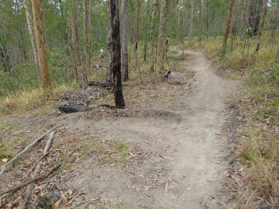 New trail with old trail almost invisible