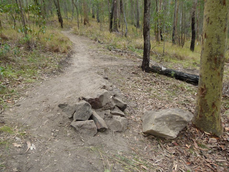 Jump line and one alternate line.