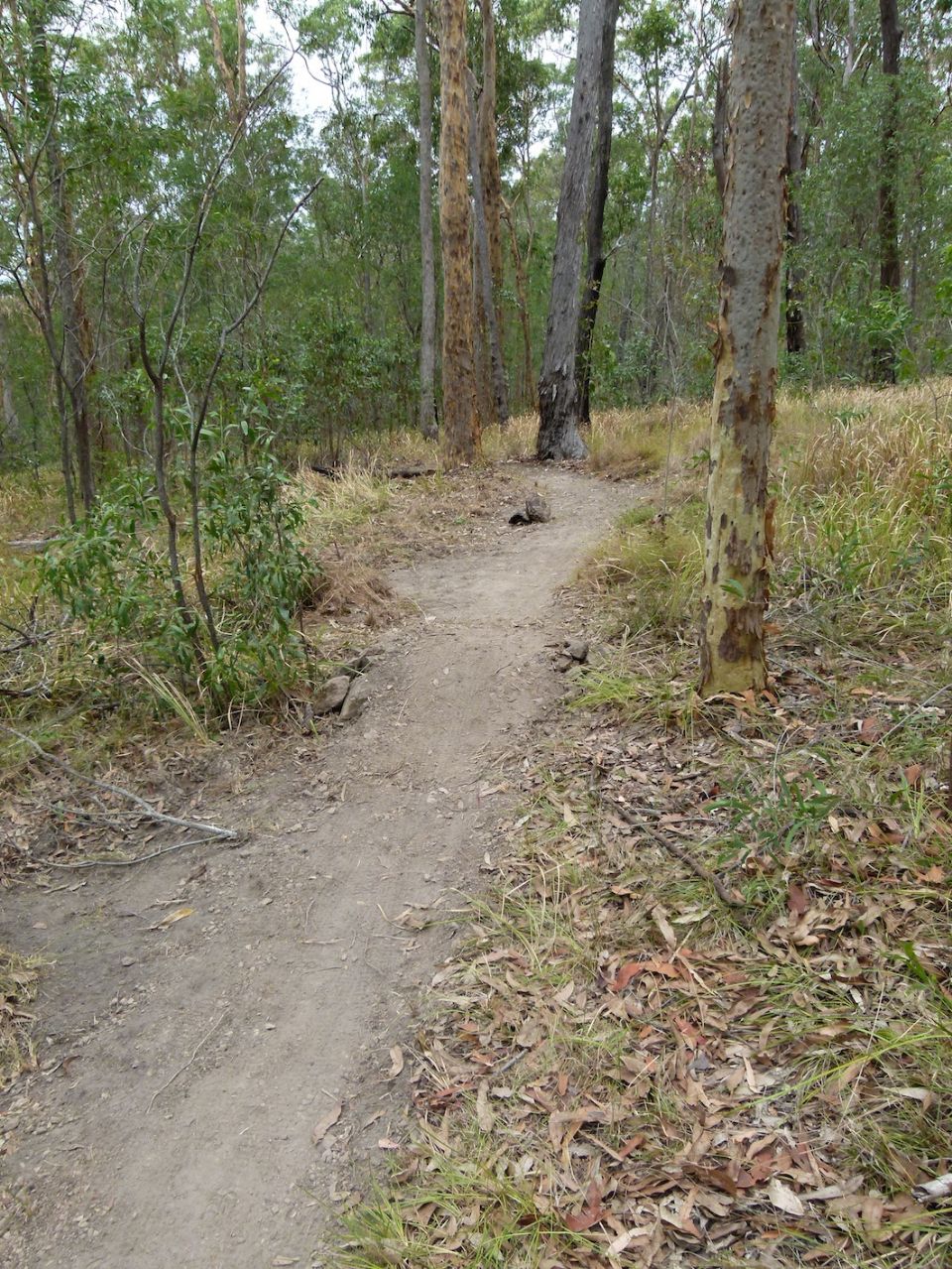 Looking back down the trail