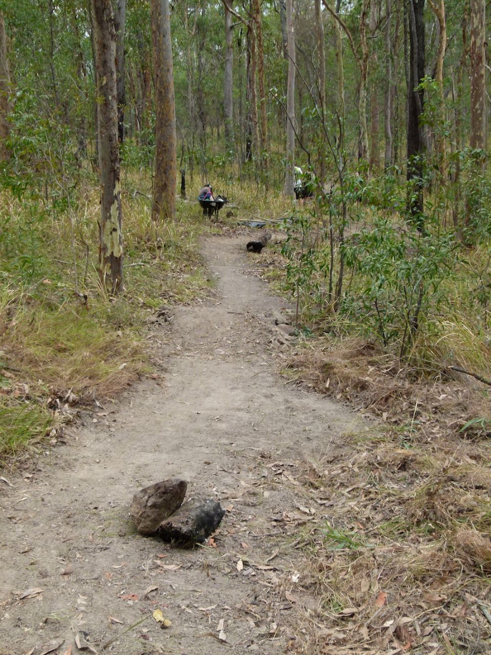P1090547.jpg