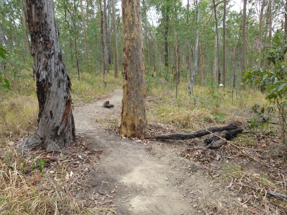 Bottom of the diversion