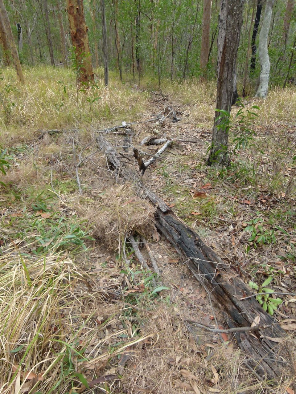 Another trail closure