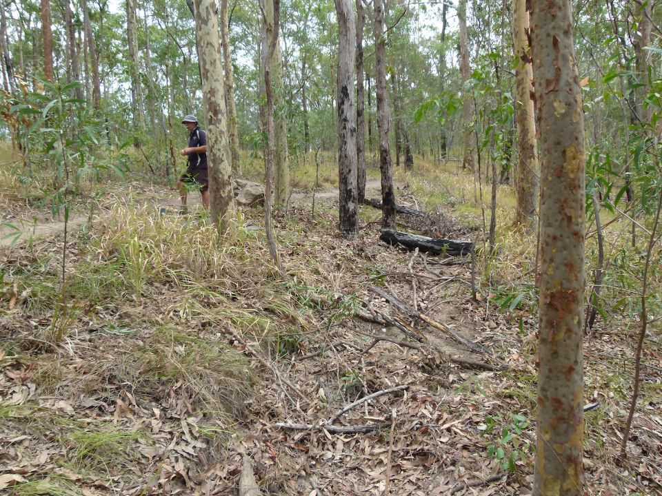 New drains and visible closures for the old trail
