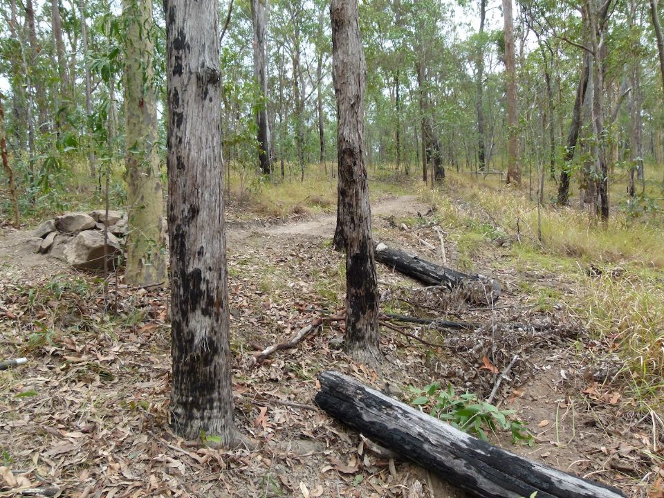 Old trail closed.  New stuff nearby.