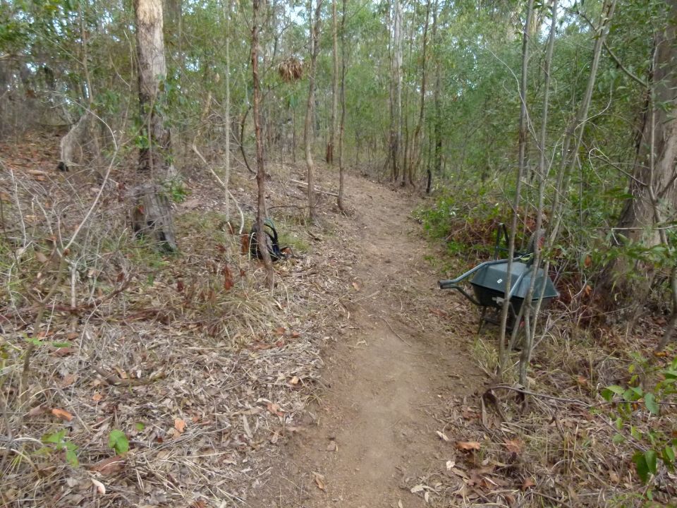 Debris saved to close old trail and a basic new trail line