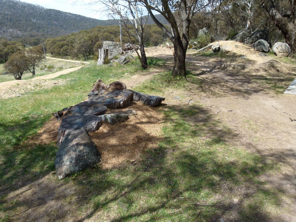 Rock and stump pile