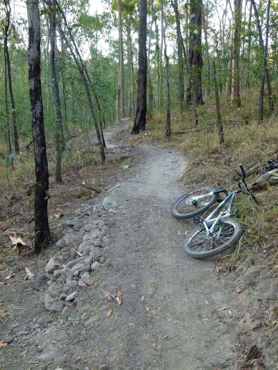 Looking up the trail