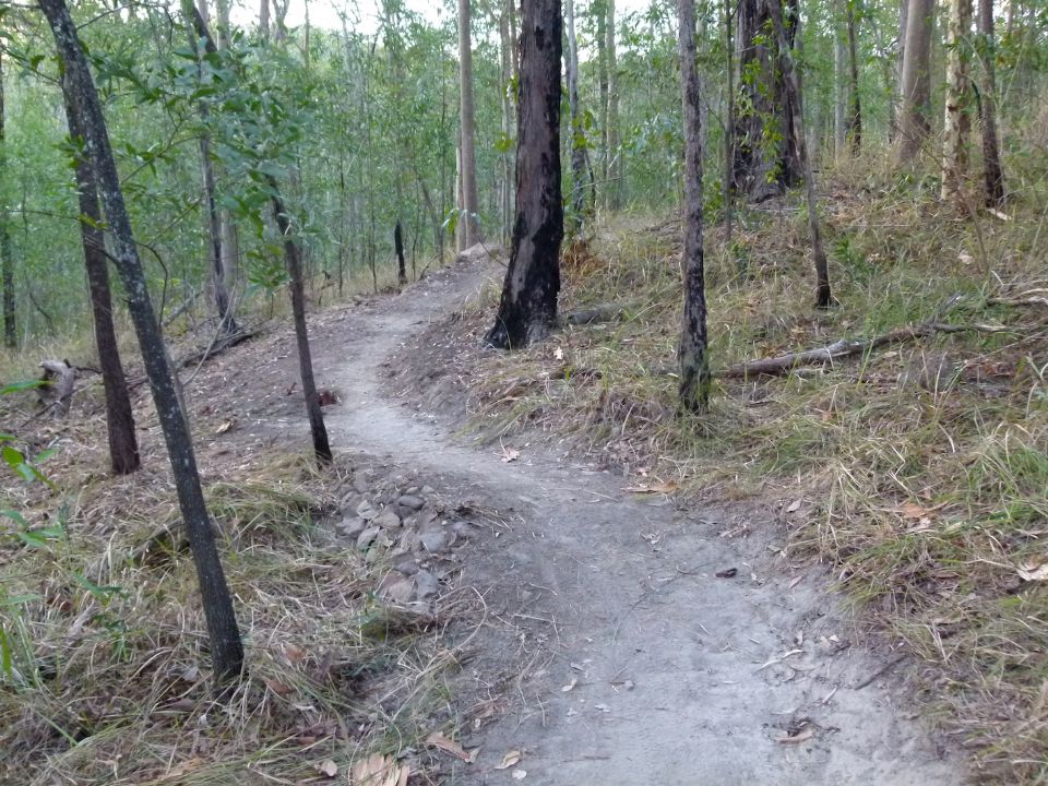 Is this the riding line?