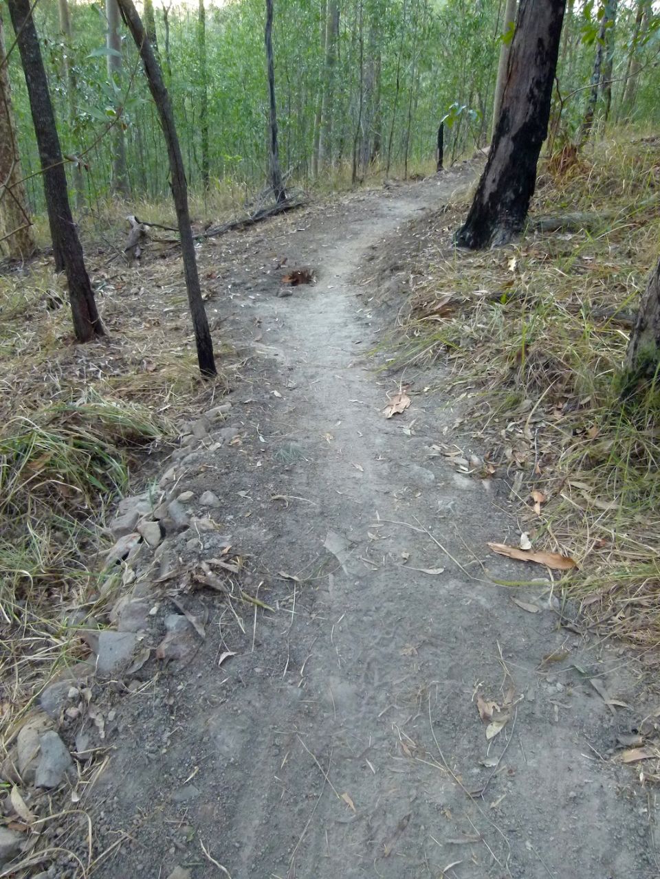 Stump on the line before pic