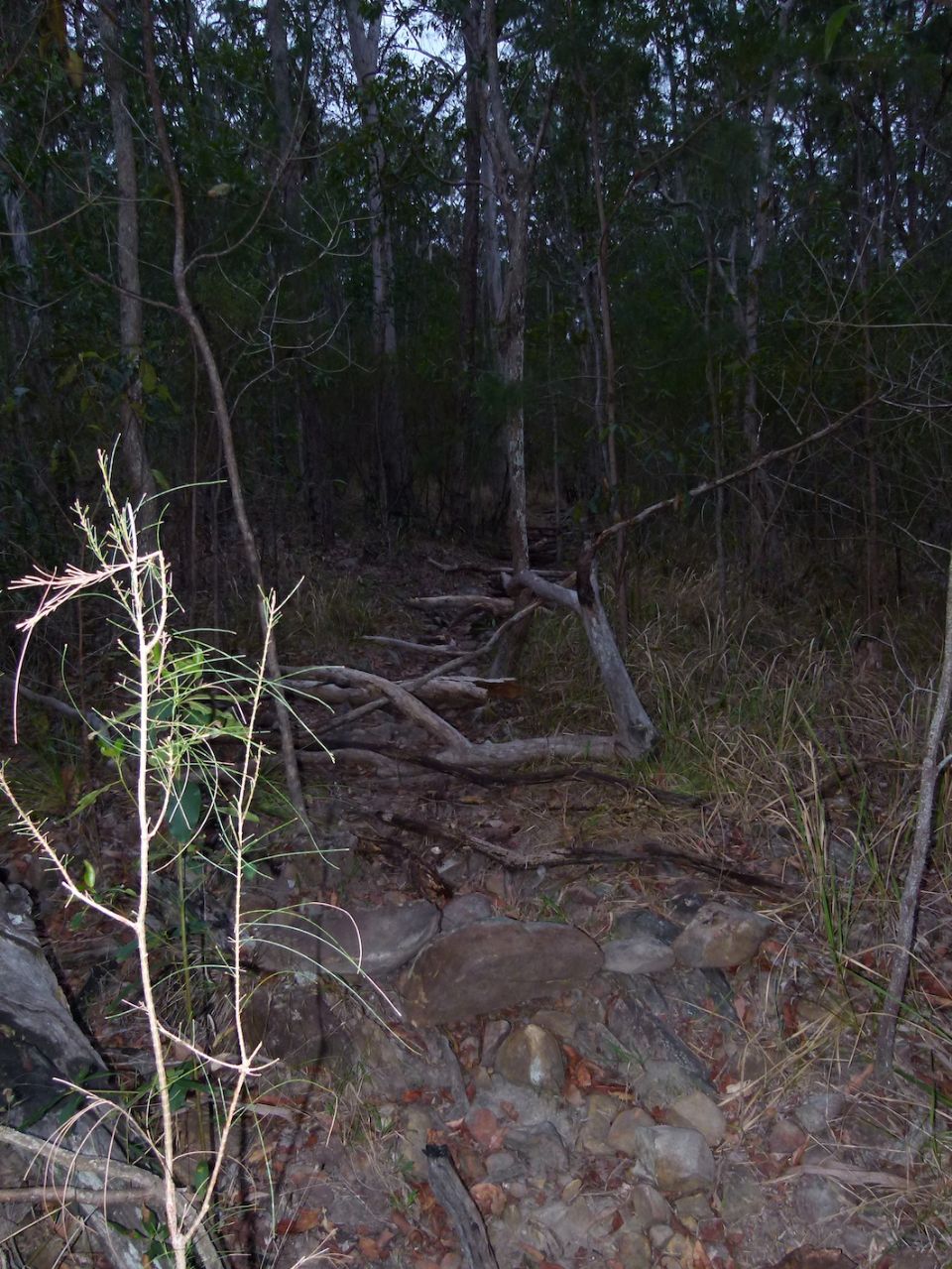 Rocks, logs, drains and other debris make this an effective closure 