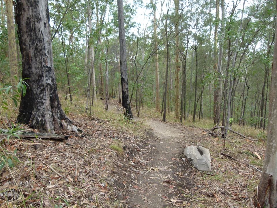 An easier entrance to the corner after re-aligning and stump removal