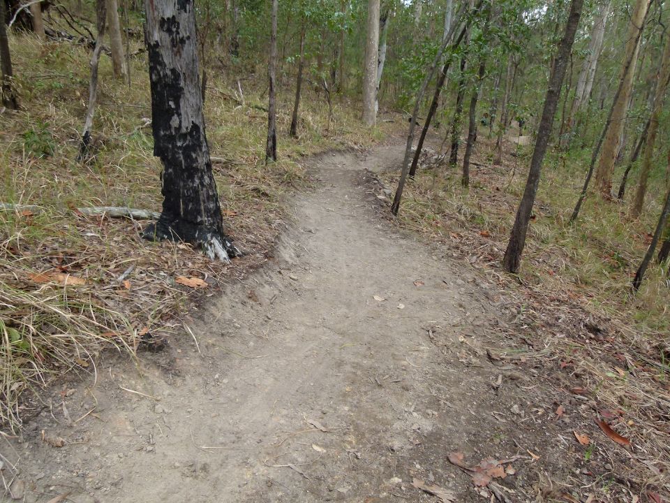 Stump gone - covered with stones and soil