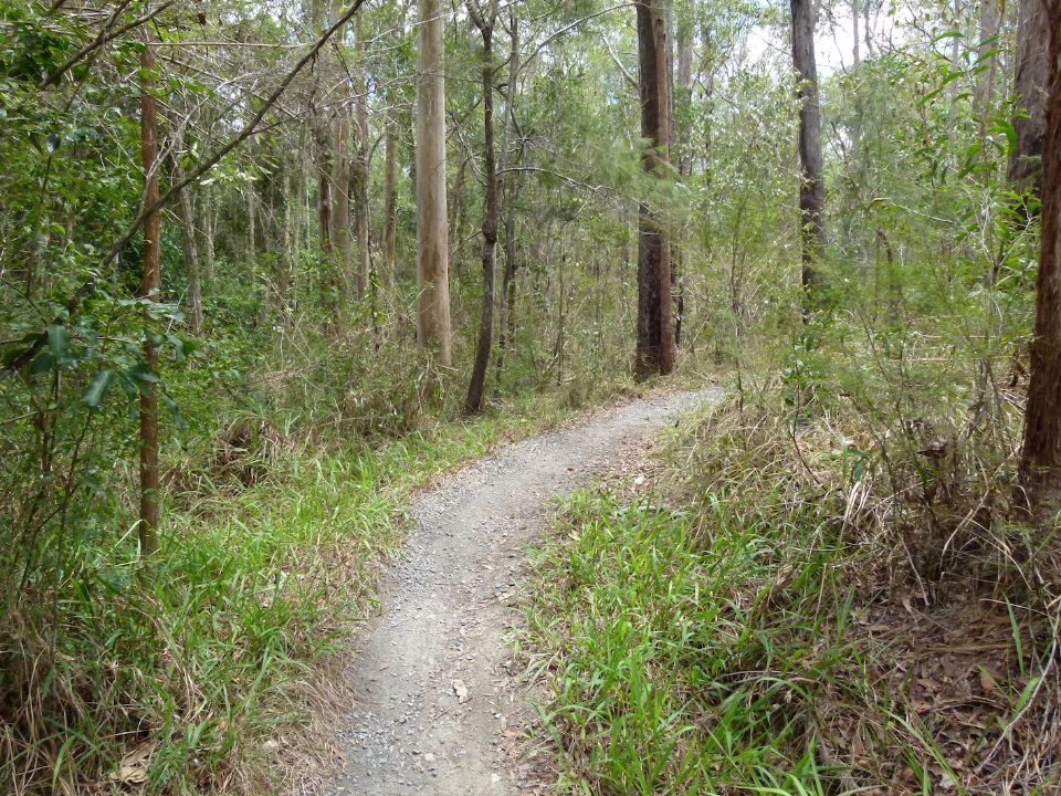 Blind corner with fast downhill traffic coming at you