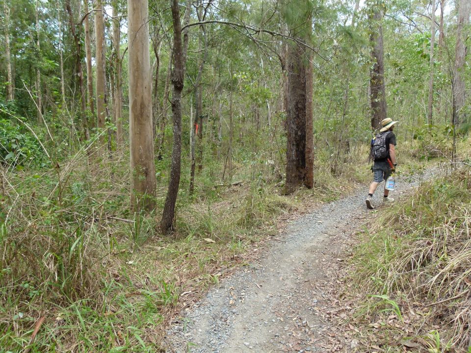 The lower entrance we plan for the diversion