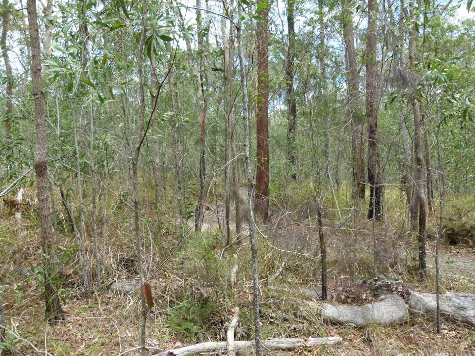 Lots of trail closure materials can be harvested from the new line