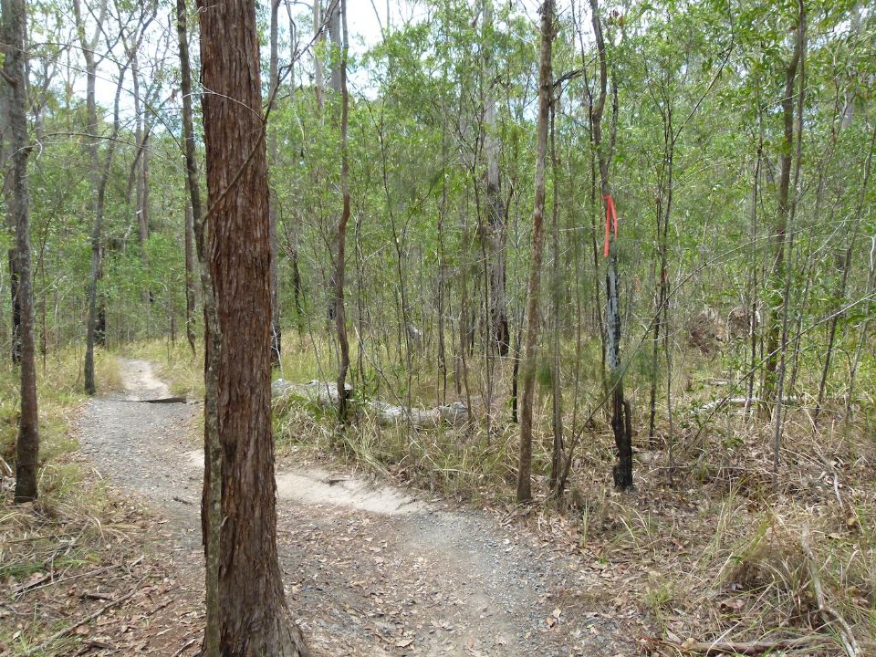 Upper start of new diversion