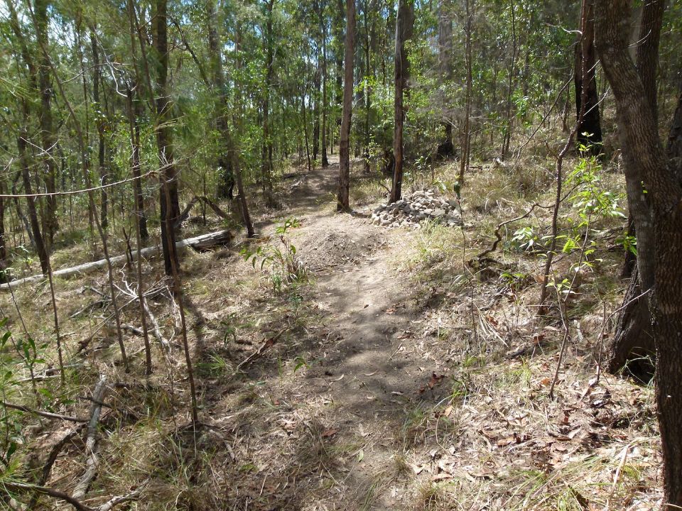 Tree down, now stones are added to trail