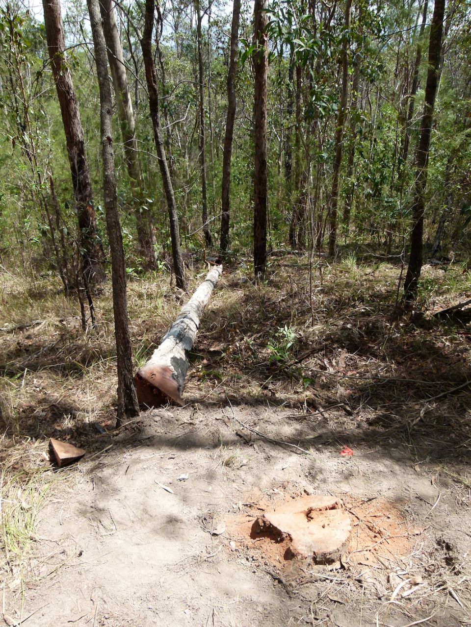 He fell exactly where we wanted him to fall
