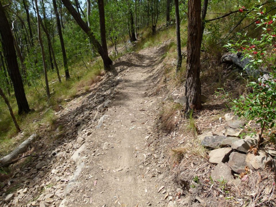 Start of the day looking down trail