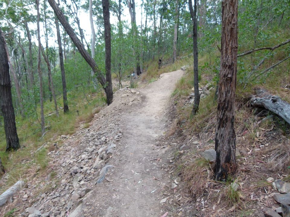 A smooth entry line developing