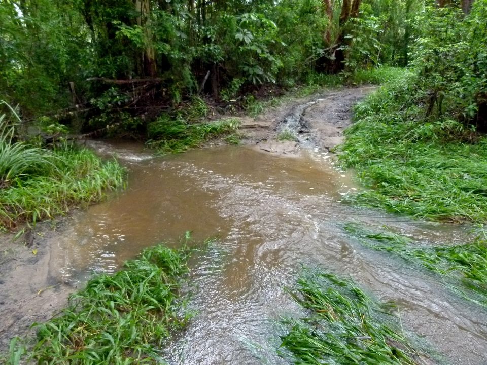 Maybe too wet to ride today?