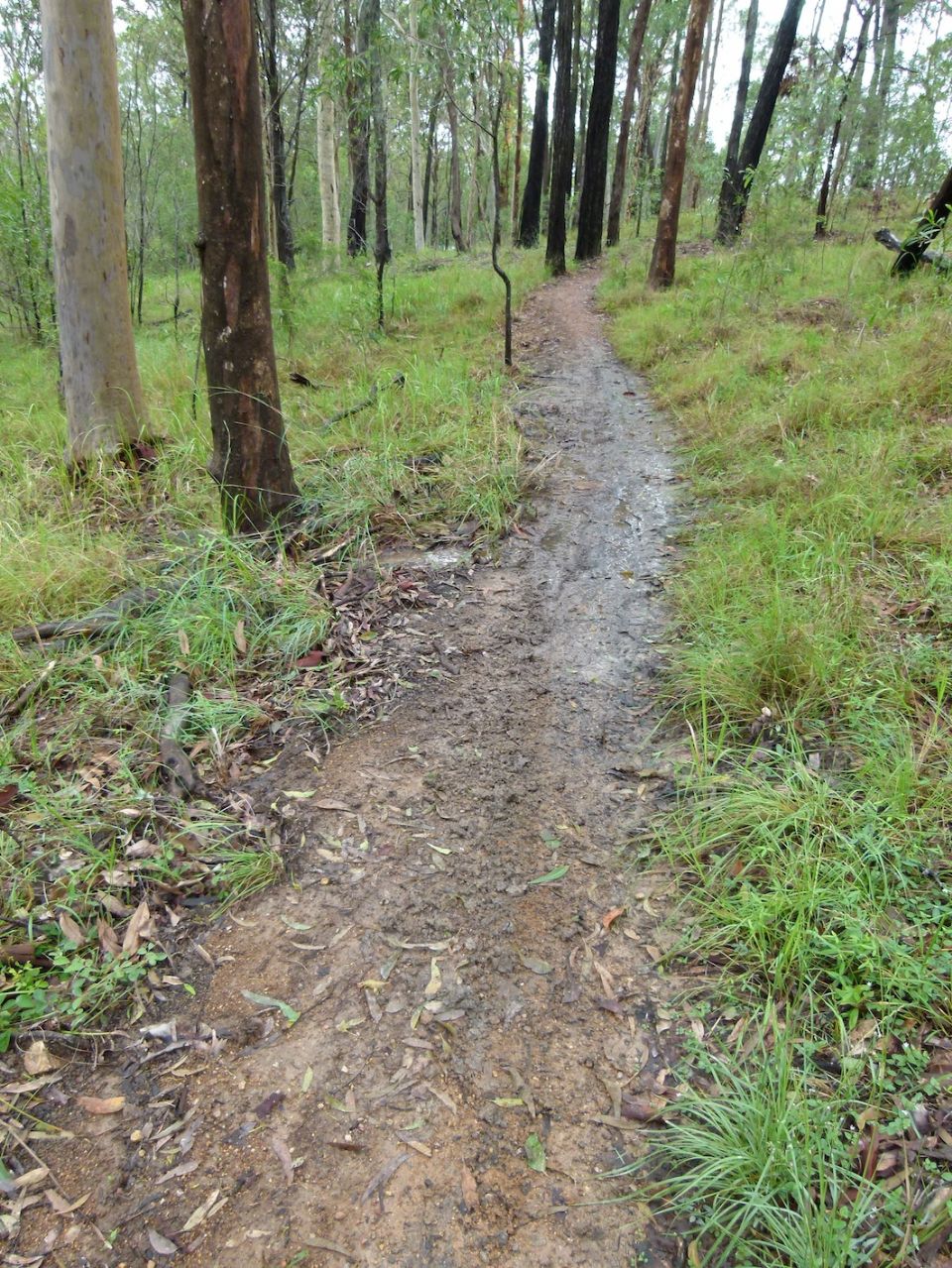 Outslope coping after 150mm of rain