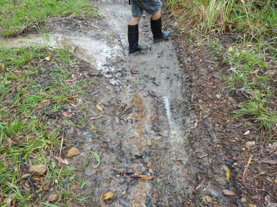 Press harder on this slurry and you find quicksand that needs to rest for weeks