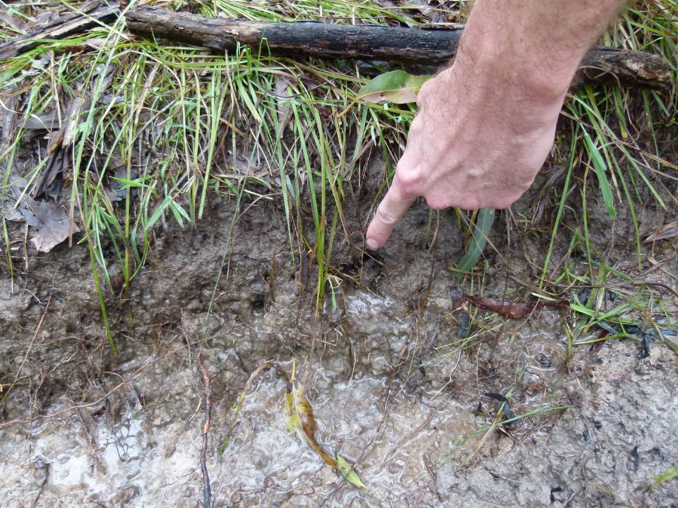 Lots of water can drain onto trail from the upslope edge