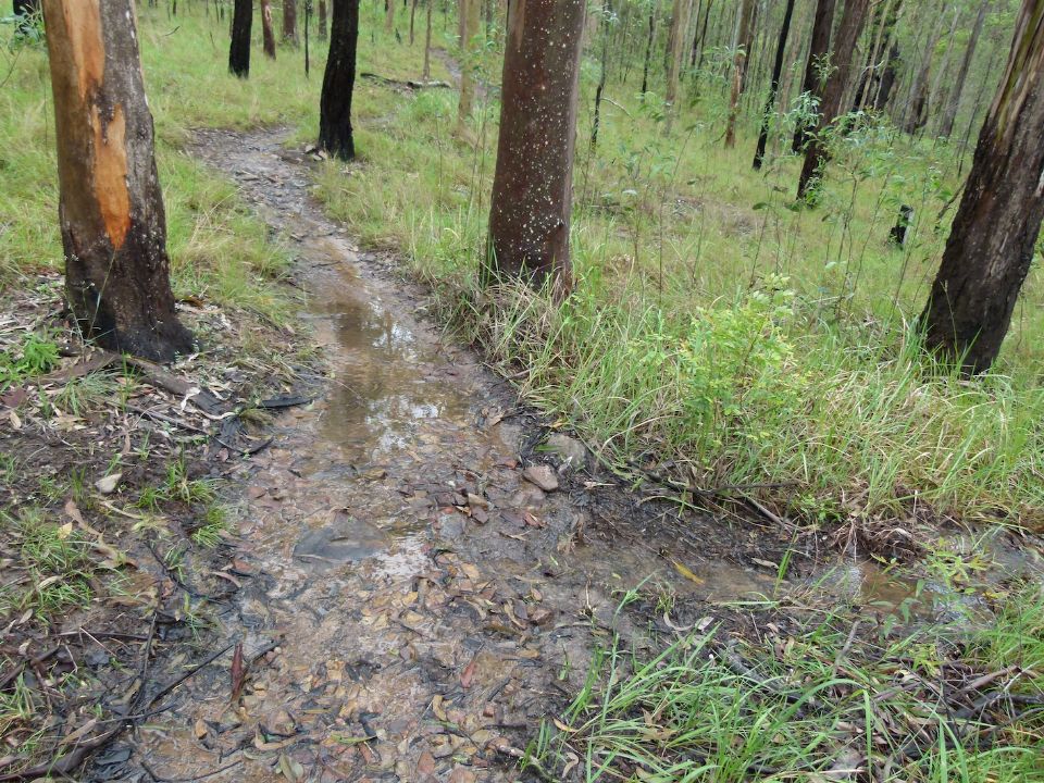 A hardened surface and clear water sheeting over